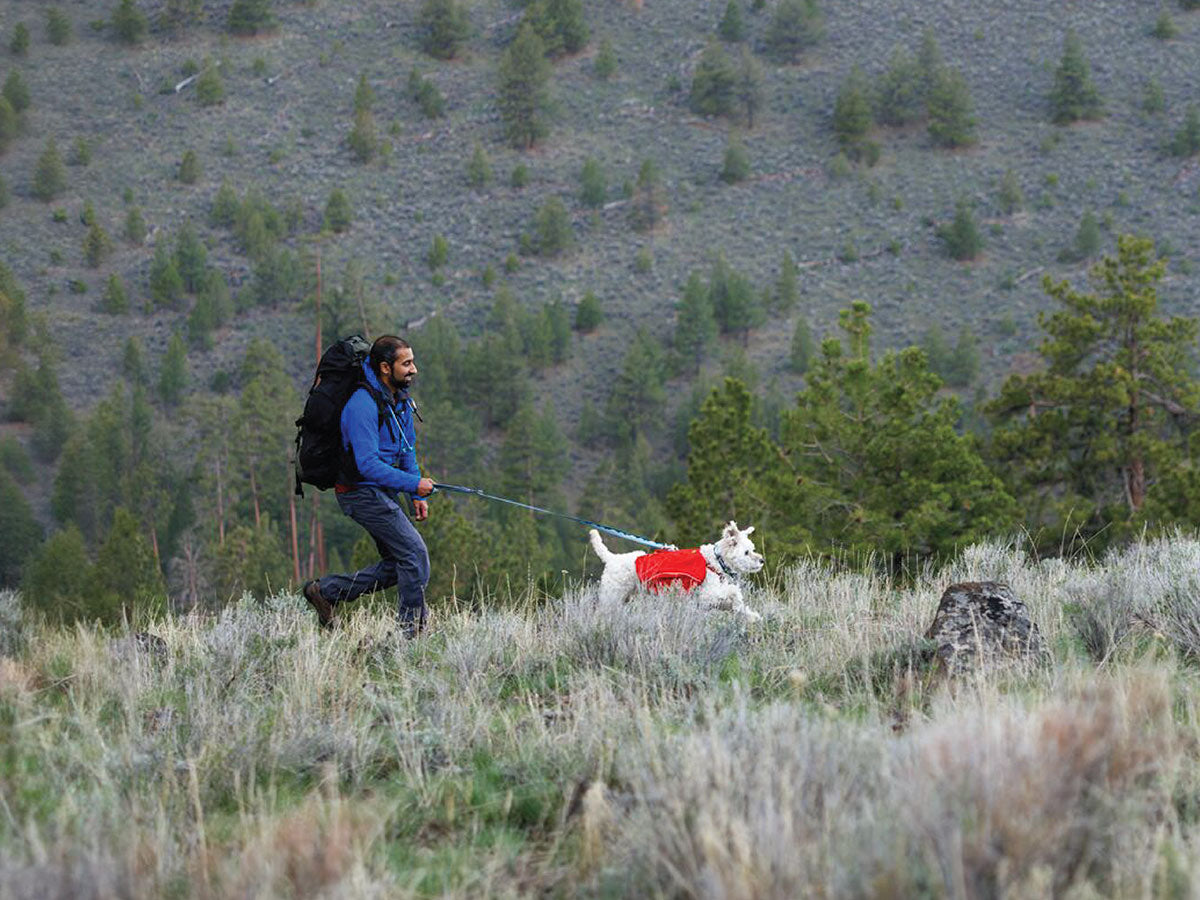 A man hikes with his dog in the grasses.
