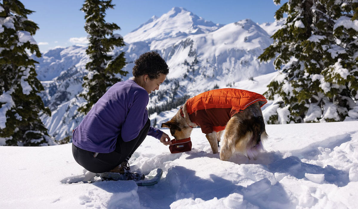 A woman gives her dog a drink in the snow from the Quencher.