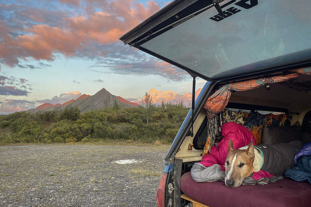 Grimlock rests on his Highland Sleeping Pad in the back of Raya's truck.