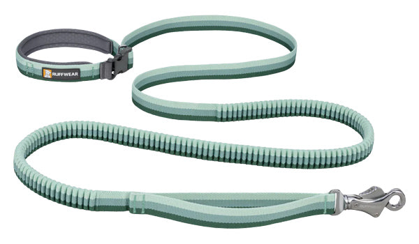 Roamer™ Bungee Dog Leash in river rock green.