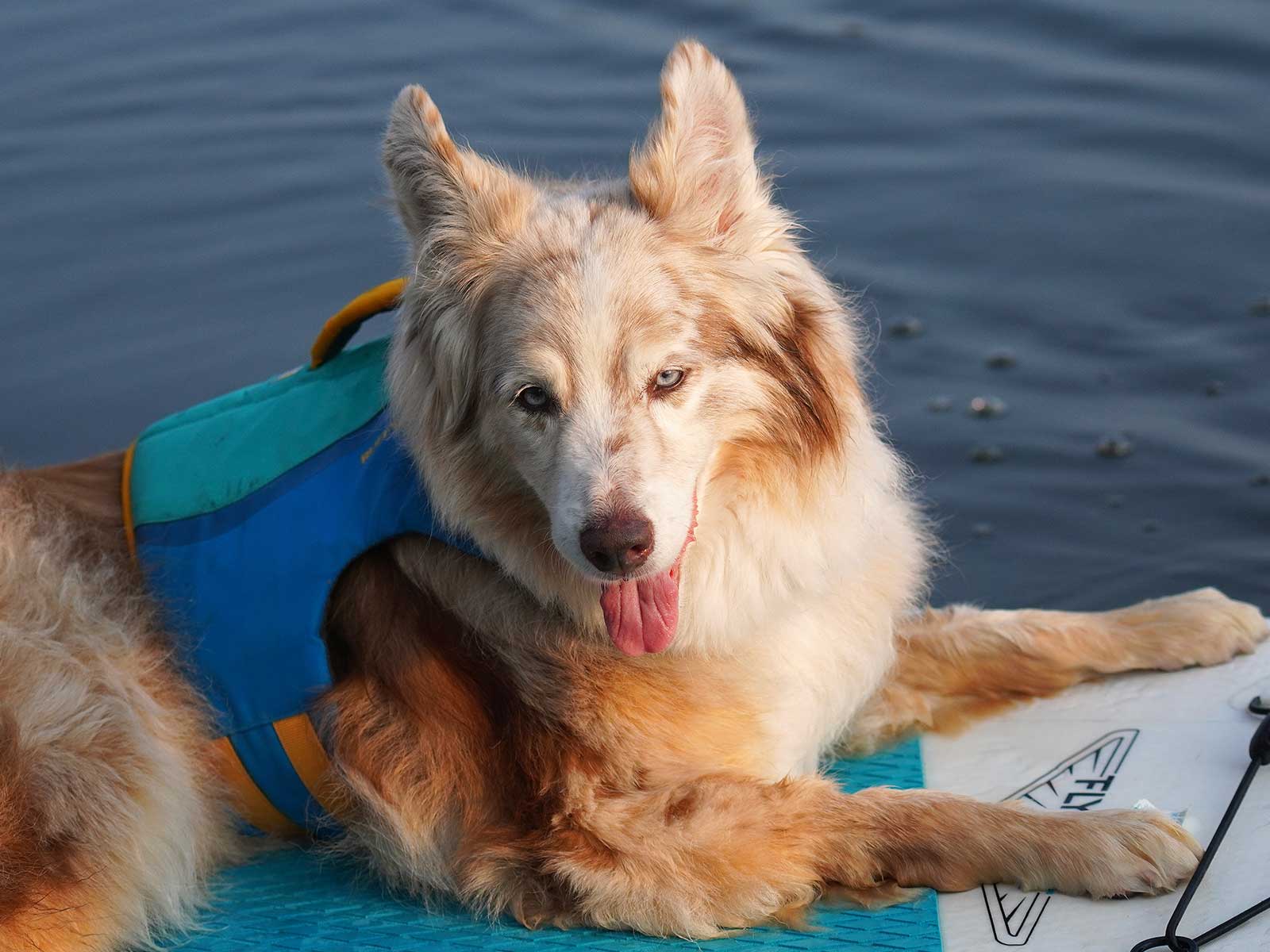 Riley lounges on a paddleboard wearing a Float Coat