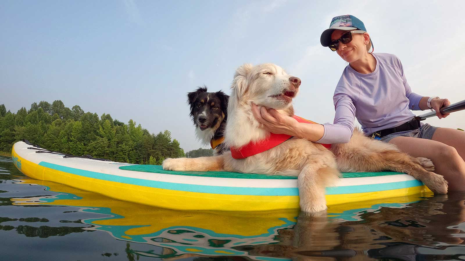 Riley floats with his doggo friends and Maria on a SUP.