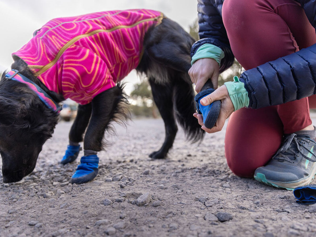 A woman puts Hi & Light Trail Shoes on her dog.