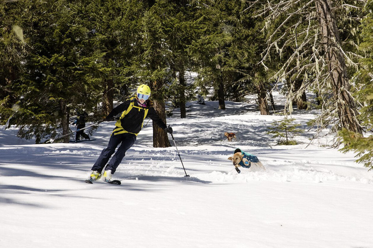 Two dogs in Vert jackets and Polar Trex boots shred the winter slopes.