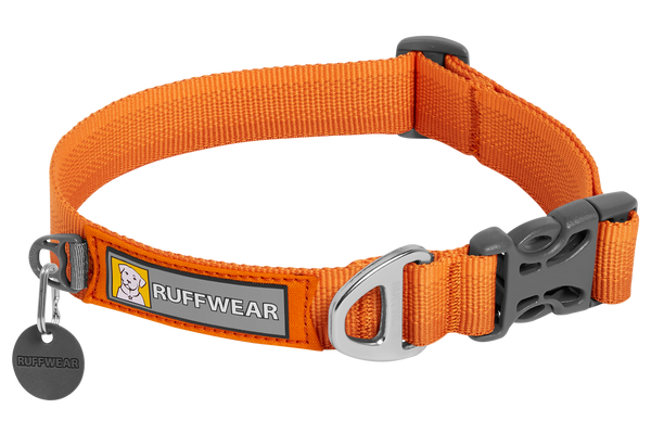 what does an orange dog collar mean