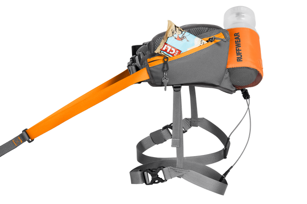 Omnijore™ Dog Joring System, Skijoring, Bikejoring & Canicross