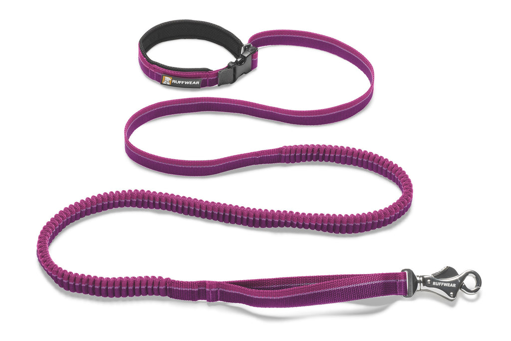 bungee dog leash