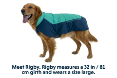 Vert™ Winter Dog Jacket | Waterproof, Windproof & Insulated | Ruffwear