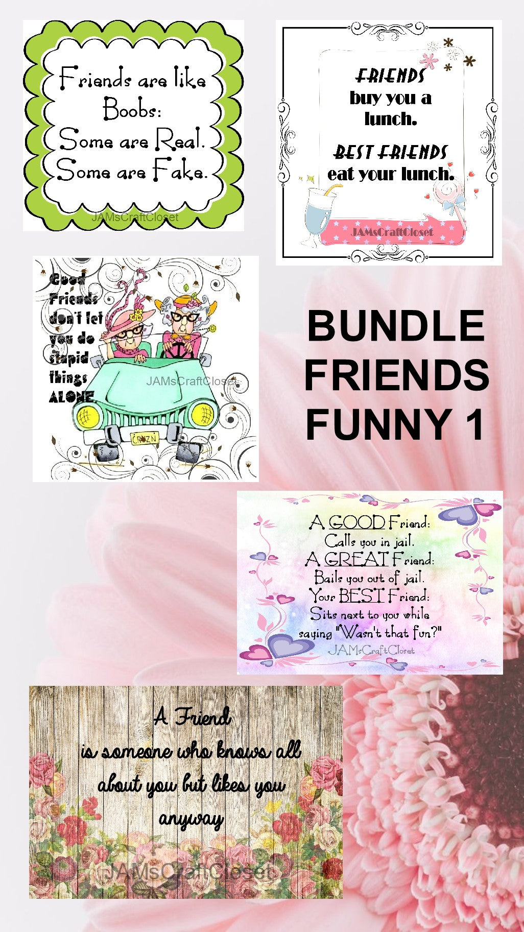 Download Bundle Friends Funny 1 Graphic Design Downloads Svg Png Jpeg Files Sub Jamscraftcloset