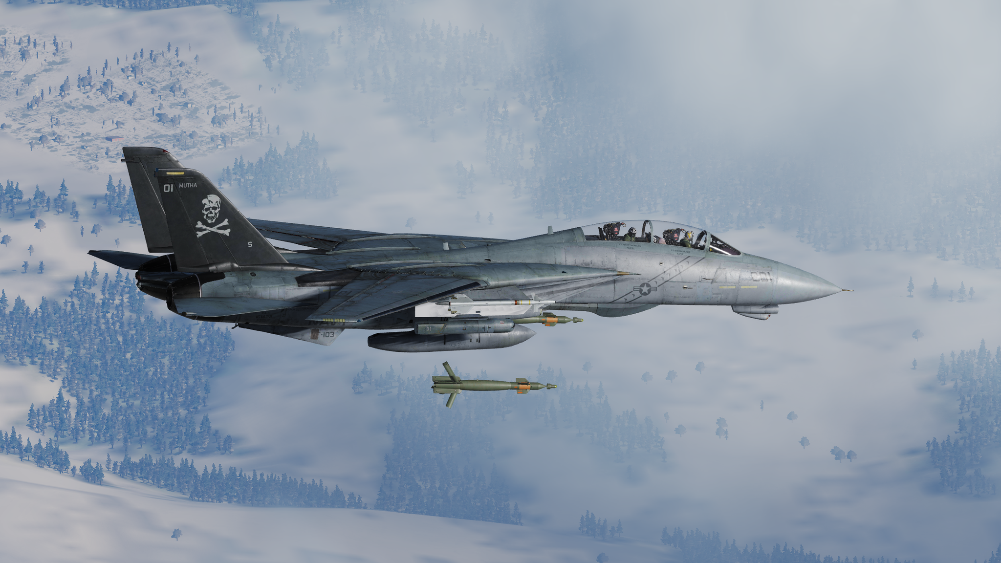 Pre-Order DCS: F-14A/B by Heatblur Simulations
