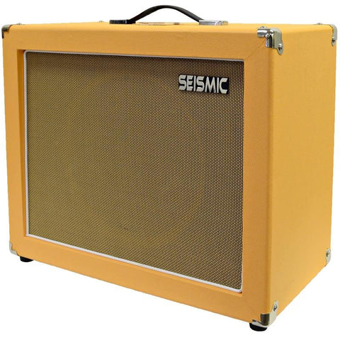 Musical Instruments Stage Studio Guitar Amplifiers Seismic