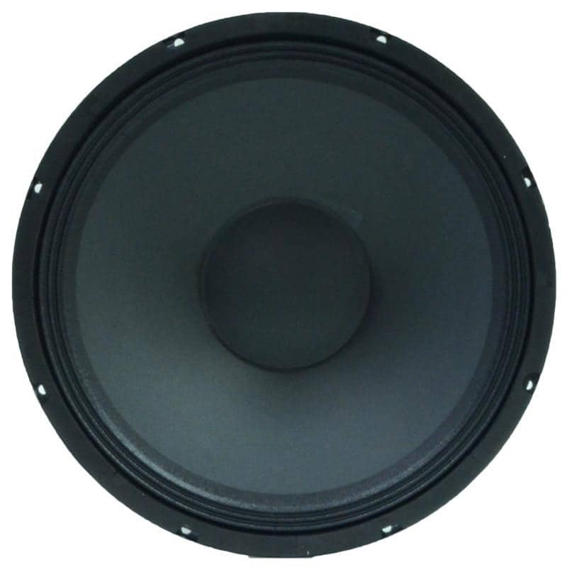 p audio speaker 8 inch