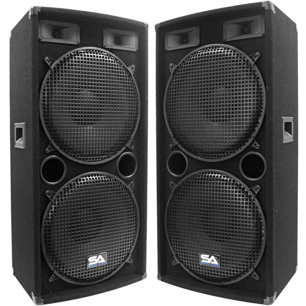 double 15 speaker