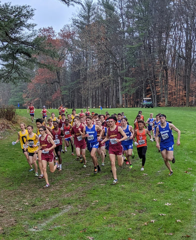 NYS Cross Country XC Championships Section IV (4)