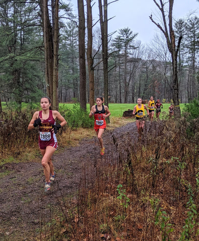 NYS Cross Country XC Championships Section IV (4)