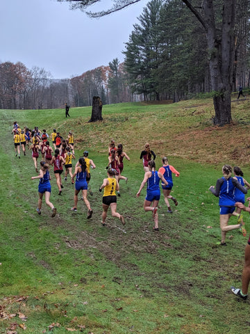 NYS Cross Country XC Championships Section IV (4)