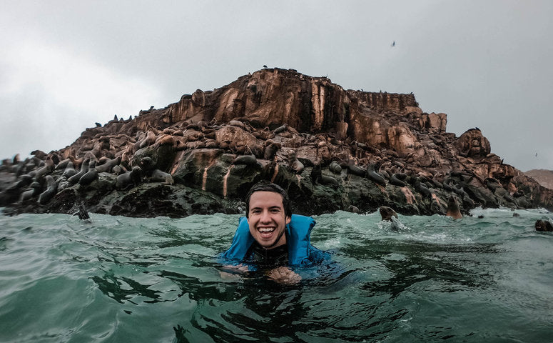 Swimming with Sea Lions in Lima