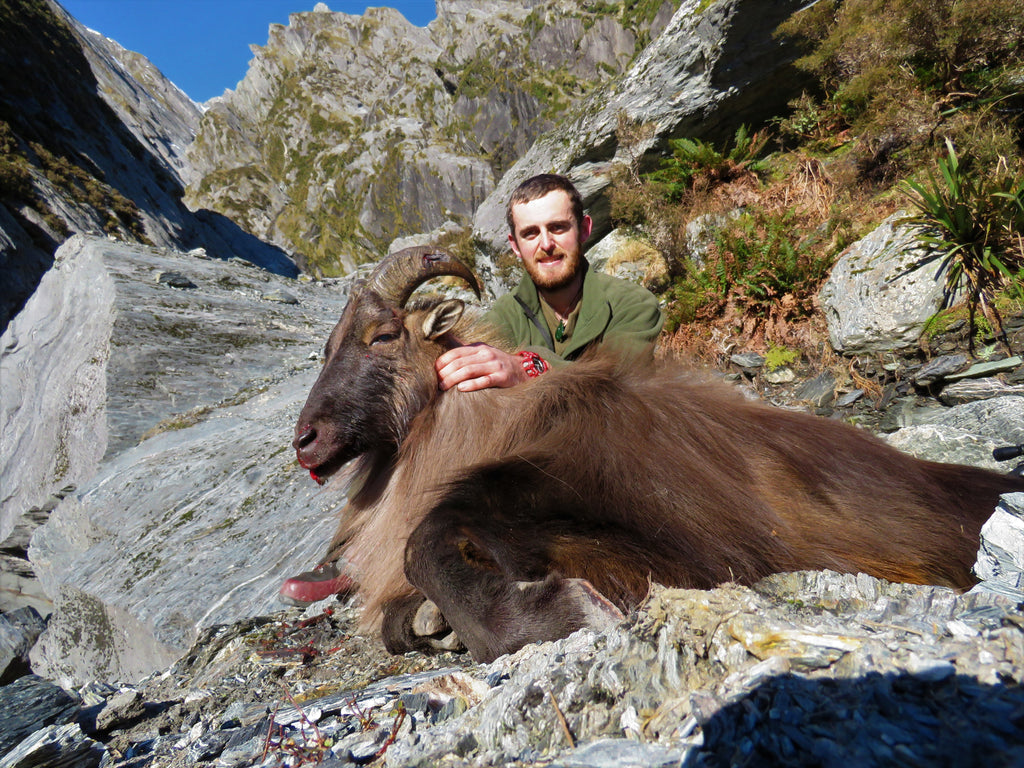 tahr aging 1