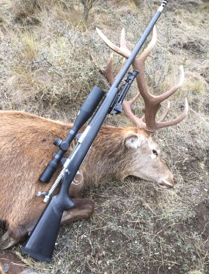 stag with east coast arms custom carbon rifle