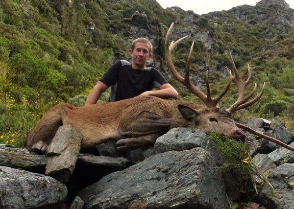 wild red stag new zealand