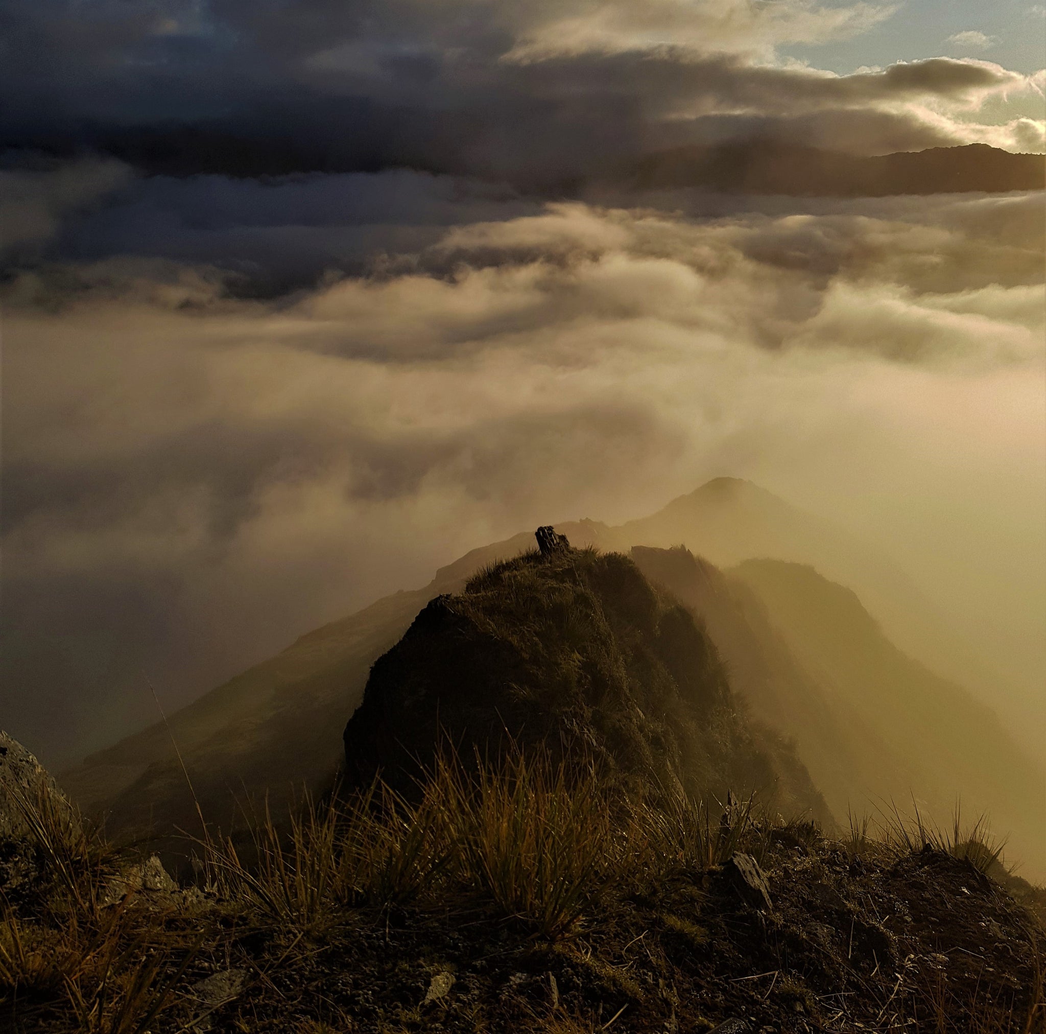 west coast hunting in the cloud