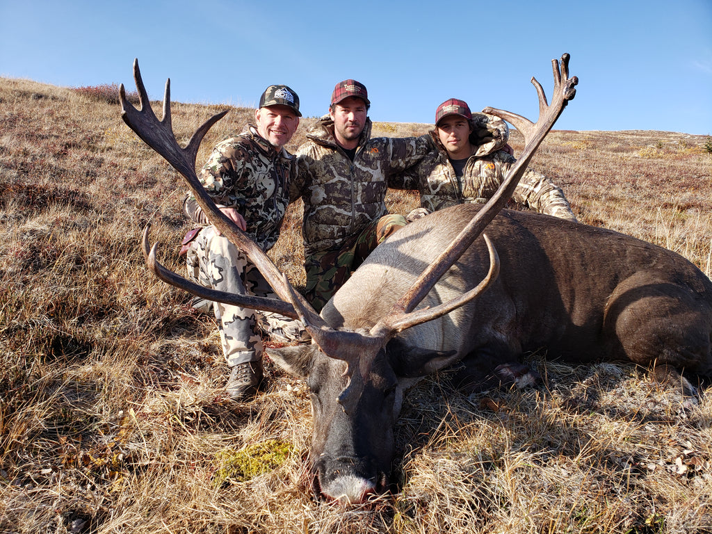 yukon-caribou-first-lite