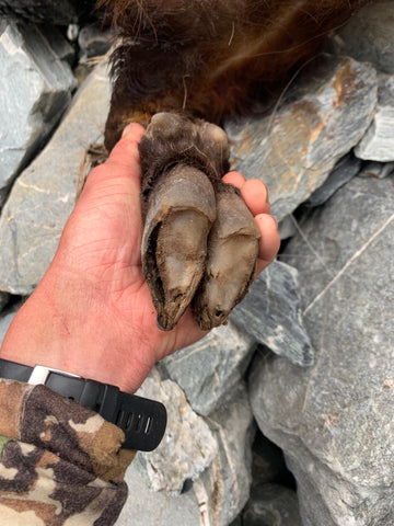 tahr foot