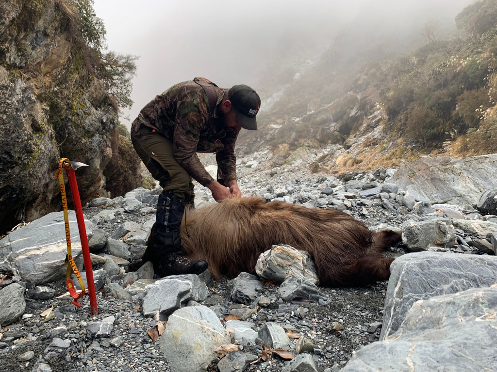 tahr-hunting