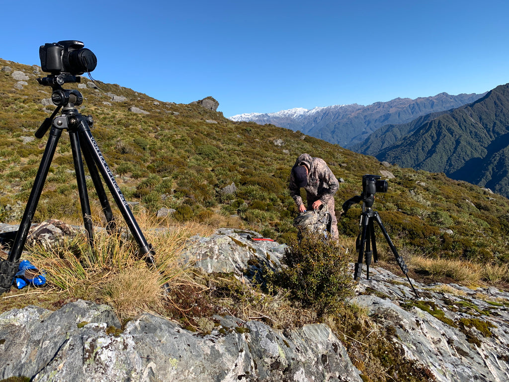 tahr rut hunting