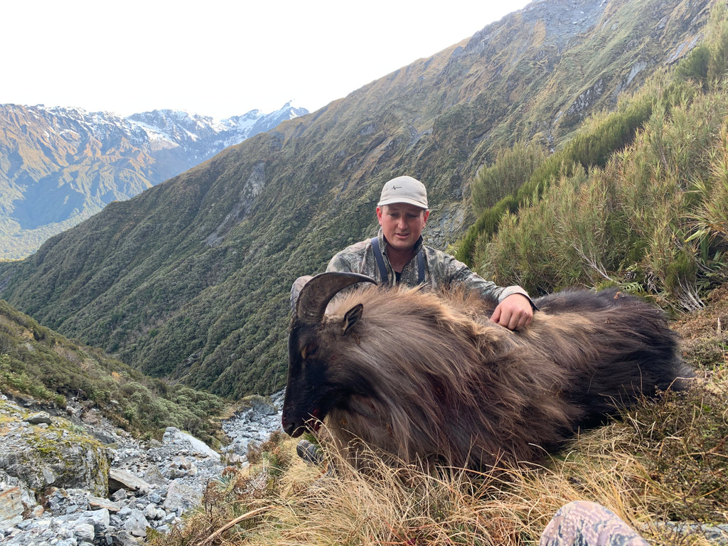 14 inch bull tahr