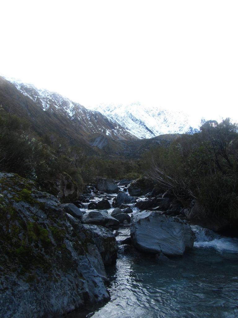 Looking up the valley