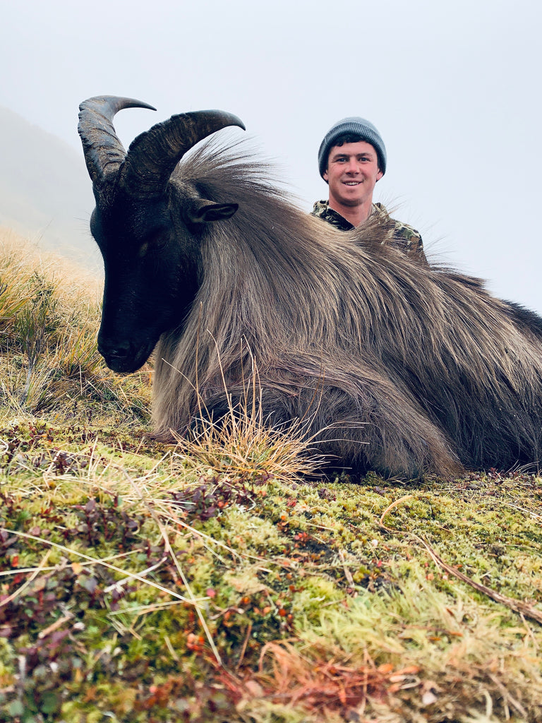 Alex Davies Bull Tahr