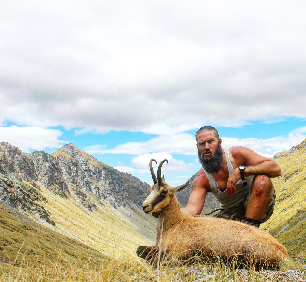 Spring chamois hunting