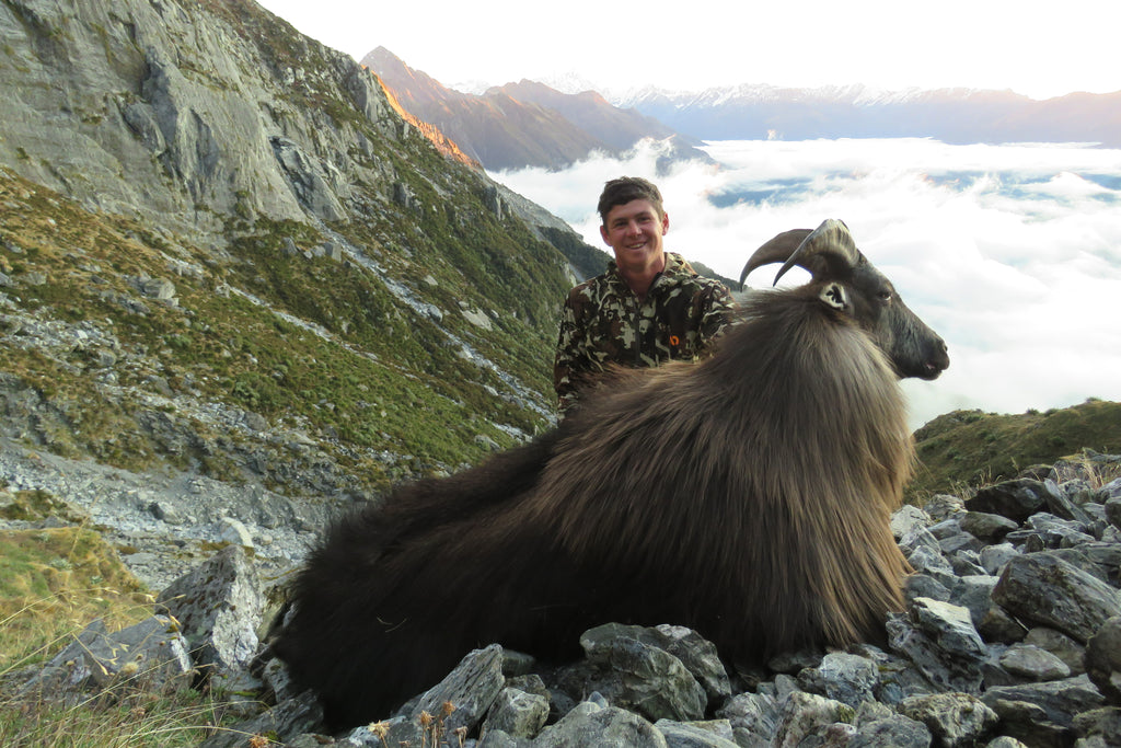 alex davies bull tahr