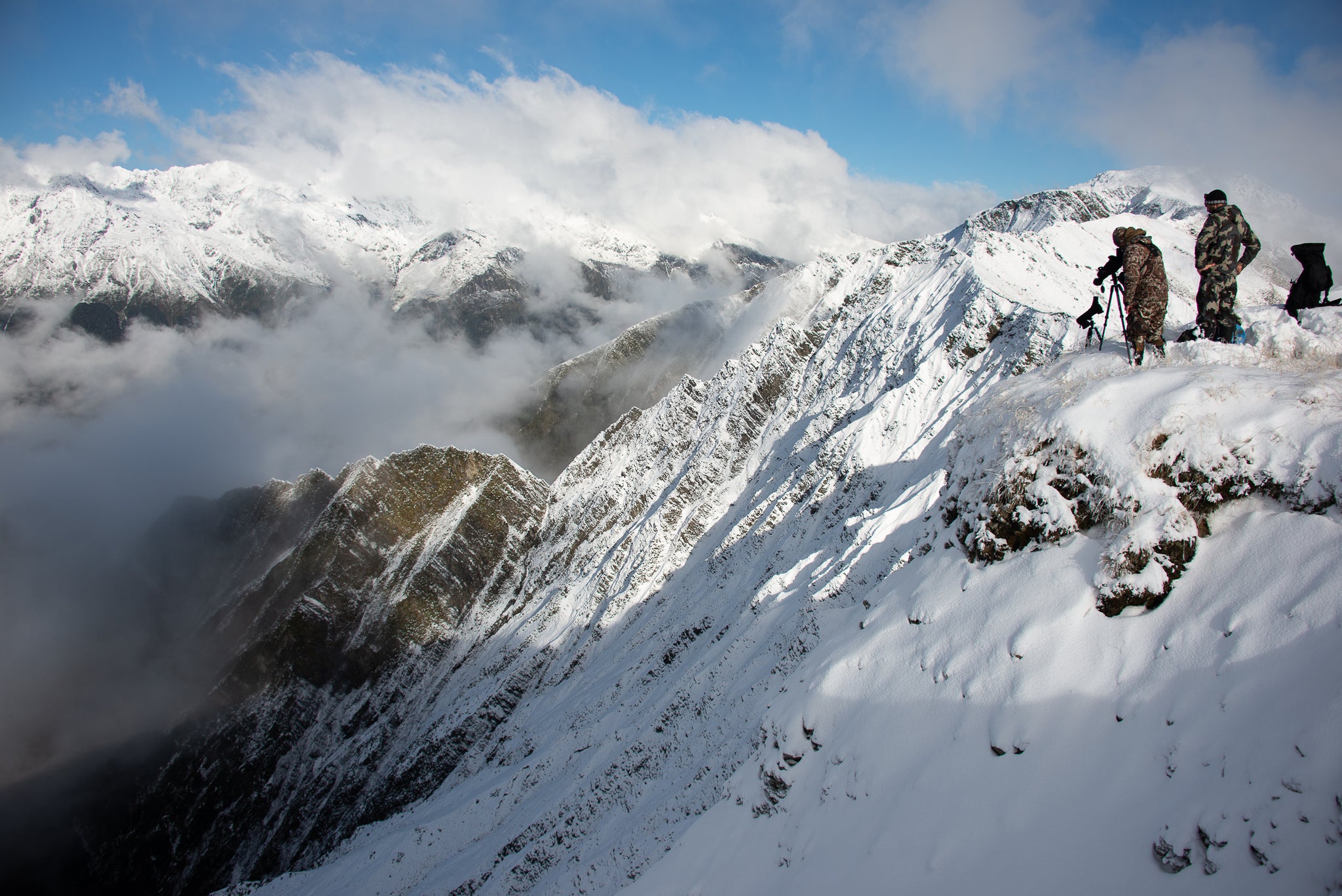 winter tahr hunt spotting tahr