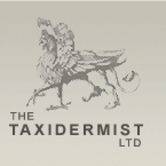 taxidermist arrowtown