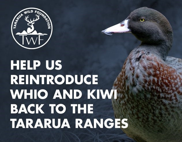 Tararua wild trapping project