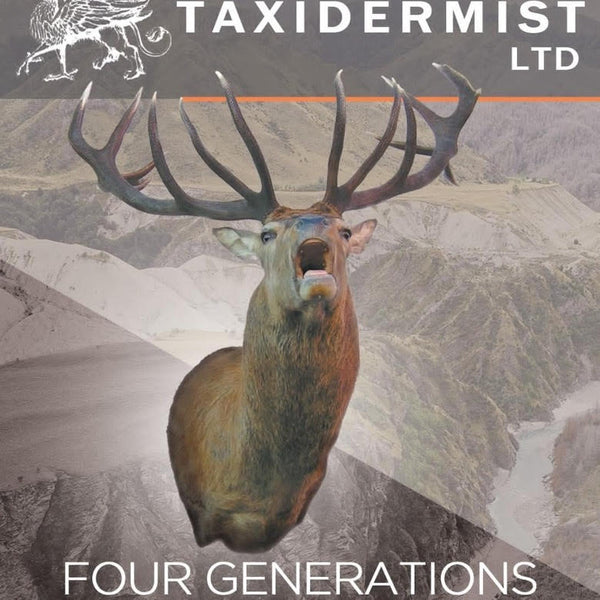 taxidermist Limited cover