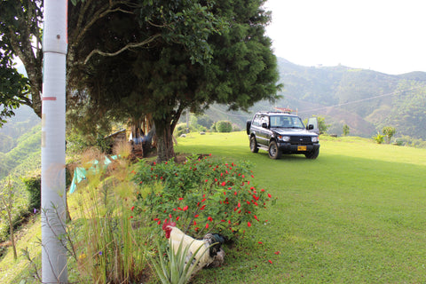 The Yard at the Farm