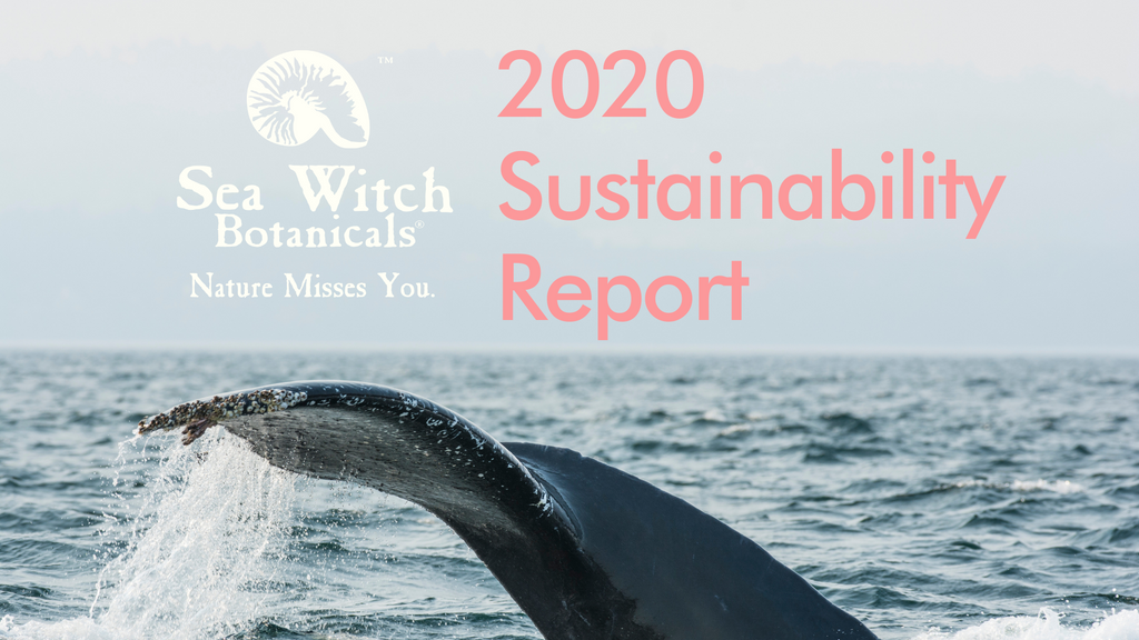 sustainability report