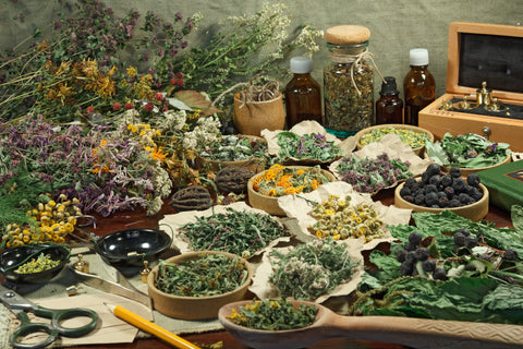 Dried herbs set in bowls, jars, and bundles for use in alternative medicine. 