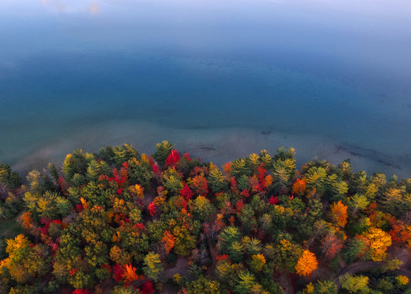 autumnal forest by the sea side aerial shot