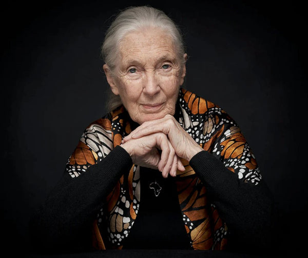 A photo of Jane Goodall