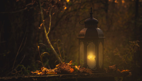 A lit lantern sits amongst autumn leaves.