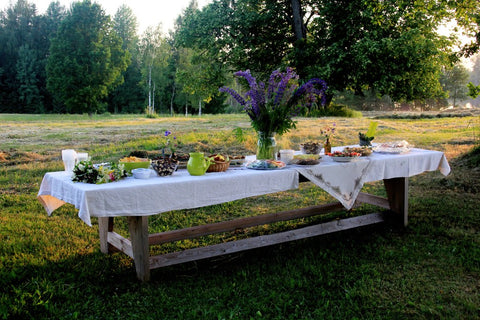 Midsummer food table.Table filled with drinks and food outside in the garden under the trees. on the table a glass vase with blue meadow flowers.