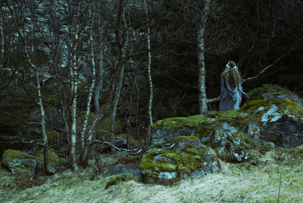 Norse woman looking into dense woods. Medieval clothing and closeness to nature evokes another time and world lost to us in our modern world. Creative coloring and textures evokes mysticism.