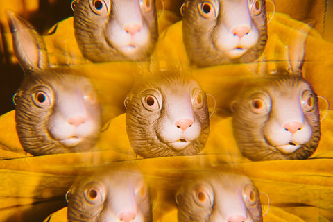 a kaleidoscopic closeup image of a rabbit head figurine on a spectral yellow background