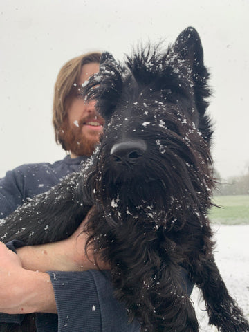 Wilfred Dog With Snow