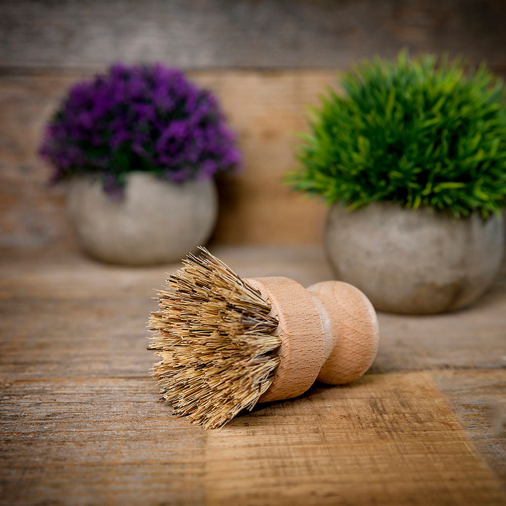 Wood Plant Dish Fiber Brush | Long Handle