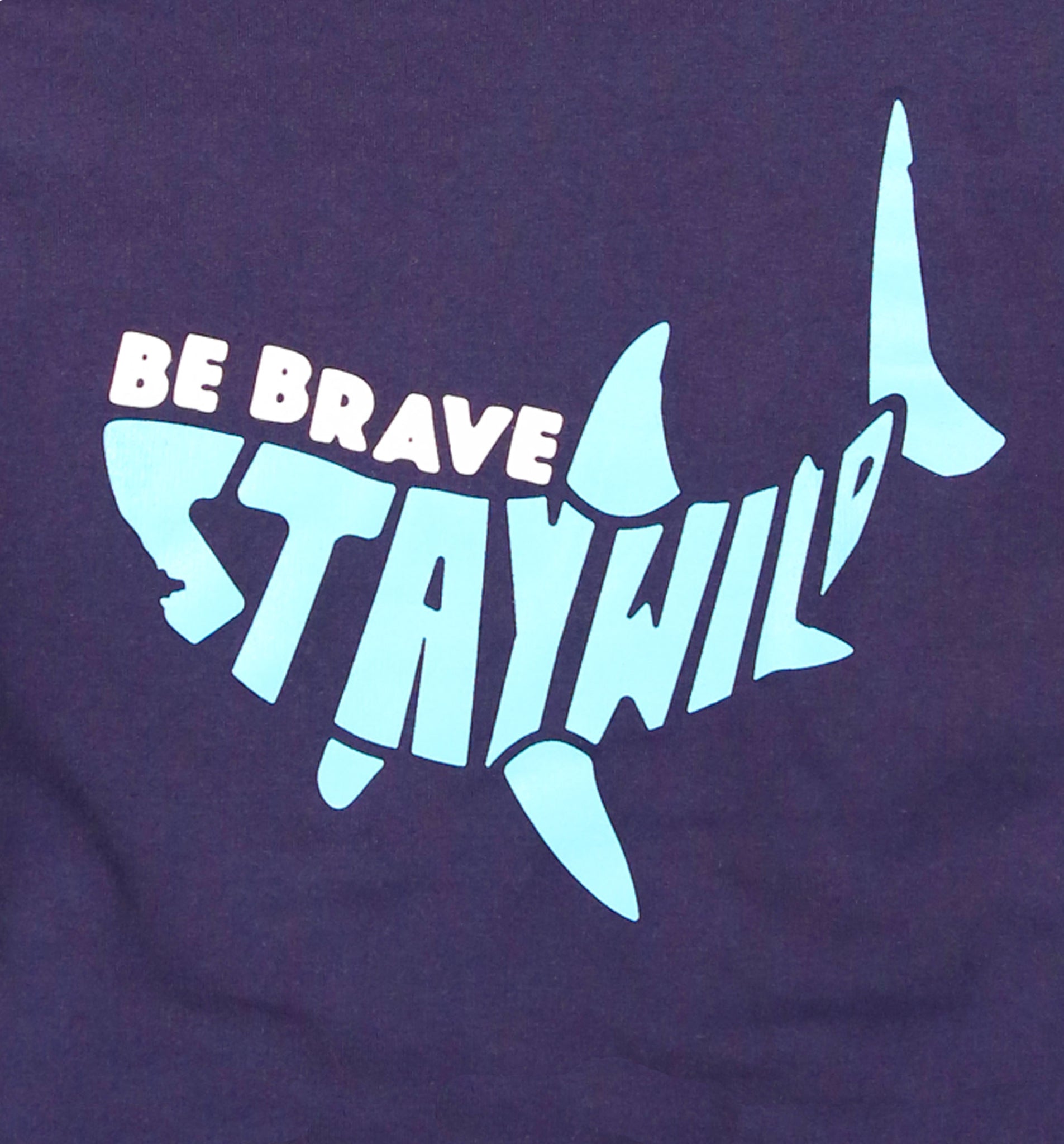 be brave stay wild